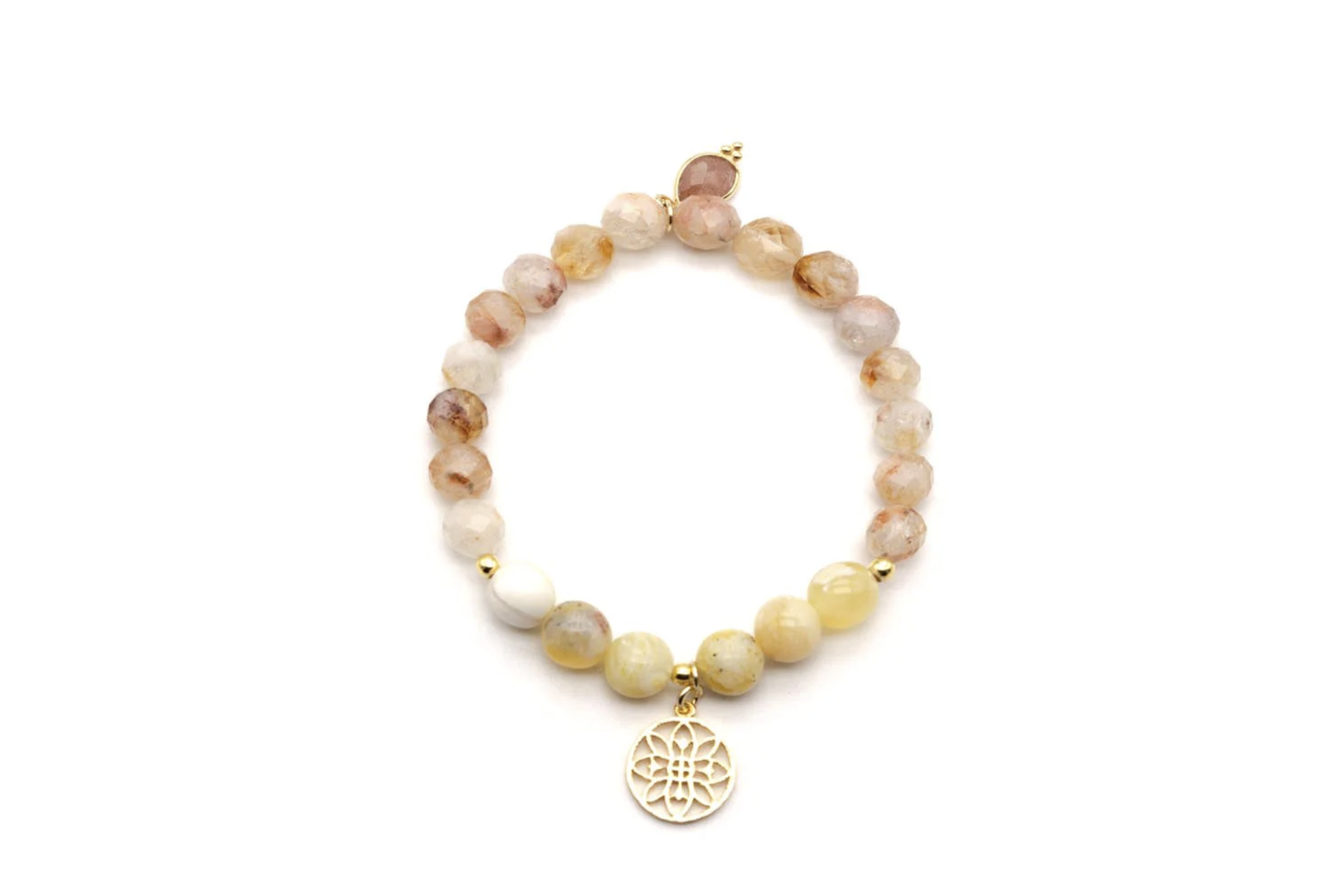 Bildschirmfoto 2026-02-20 um 11.29.09