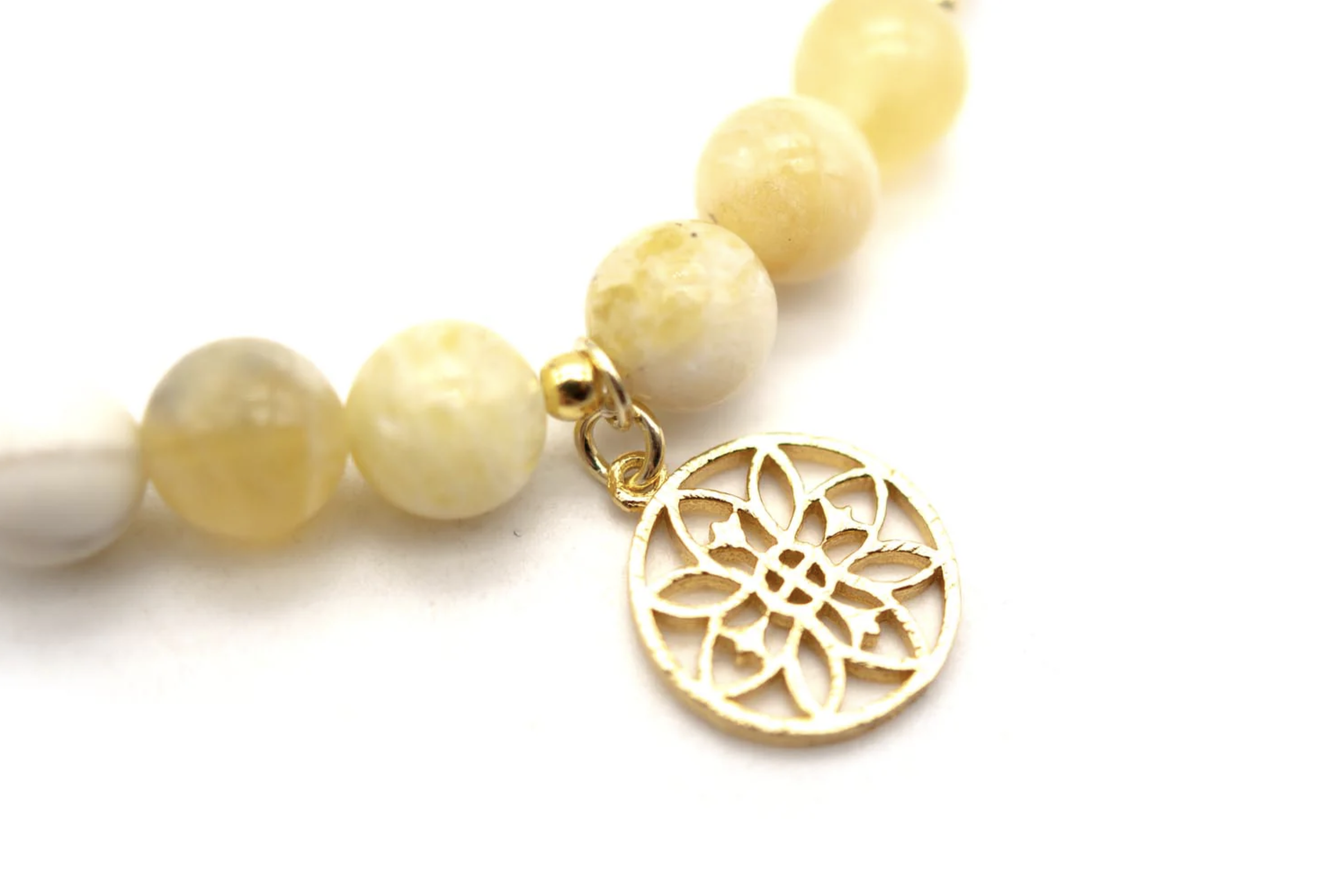 Bildschirmfoto 2026-02-20 um 11.29.21